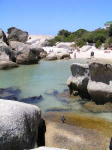 boulders-beach